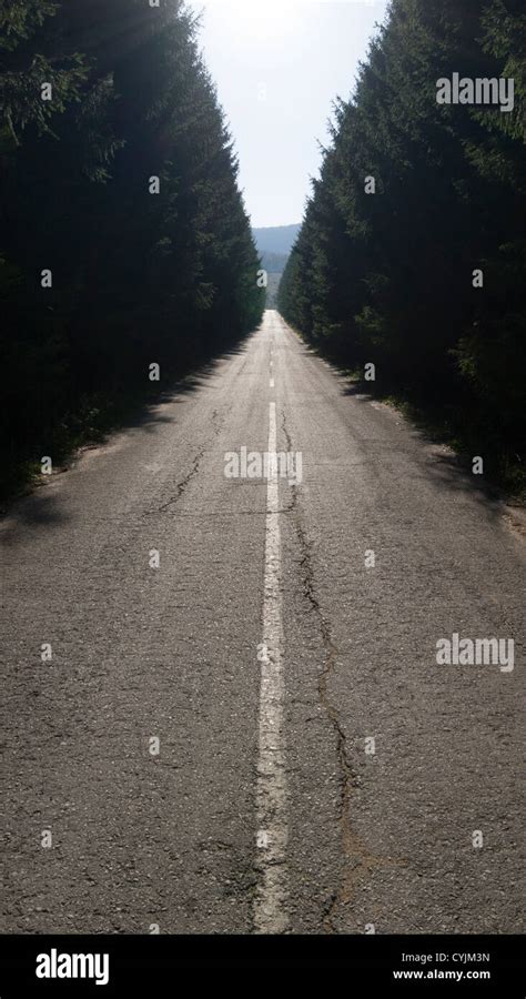 A Straight Asphalt Road Disappearing Into The Distance Between Lines Of
