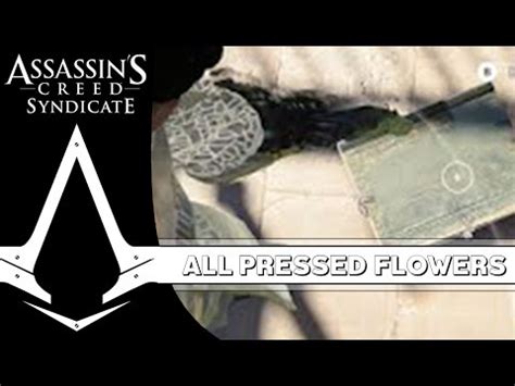 Assassin S Creed Syndicate All Pressed Flowers Language Of Flowers