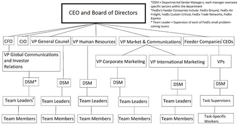 Common Organizational Structures