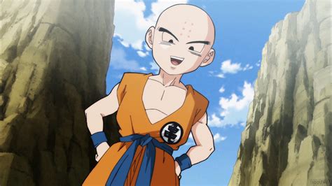 These balls, when combined, can grant the owner any one wish he desires. Dragon Ball Super Épisode 84 : Krilin à l'épreuve