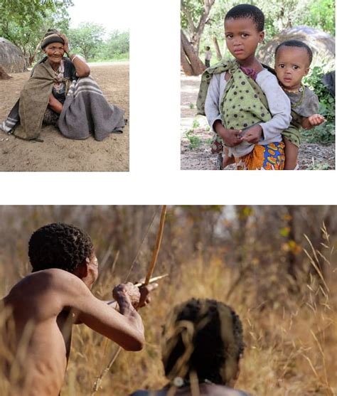 The San Bushmen Of The Kalahari Tribal Trust Foundation