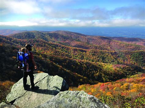 20 Stunning Fall Foliage Hiking Photos To Brighten Up Your Day The Trek