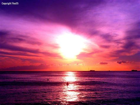 Free Download Purple Sunset On The Beach Hd Wallpapers In Beach