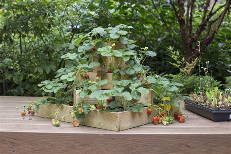 Tiered strawberry planter diy instructions. How to Build a Strawberry Planter - Dunn DIY