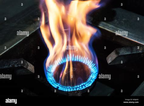 Gas Burning In The Burner Of Gas Oven Big Flames Of Fire Yellow