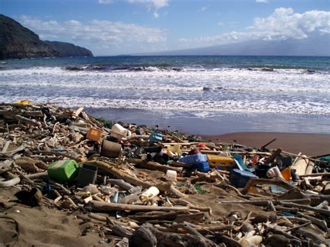 The Ins And Outs Of Plastic Pollution In Our Ocean Orandr