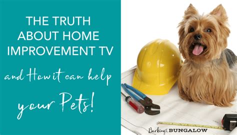 The Truth About Home Improvement Tv And How It Can Help Your Pets