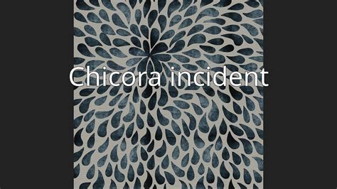 Chicora Incident Youtube