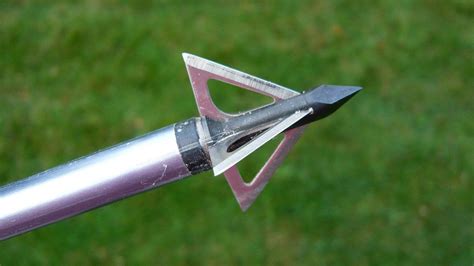 Broadheads For Crossbow Hunting