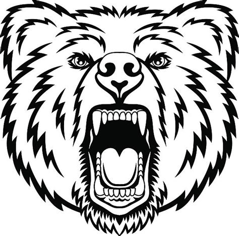 Best Roaring Bear Illustrations Royalty Free Vector Graphics And Clip