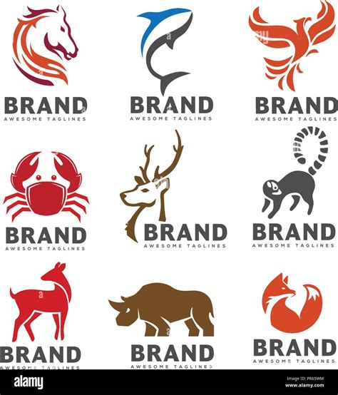 Best Animal Logo Collection On White Background Exotic Tropic Animal