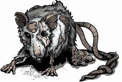 Rat Rats Drawing Clipart Mutant Rodent Scary