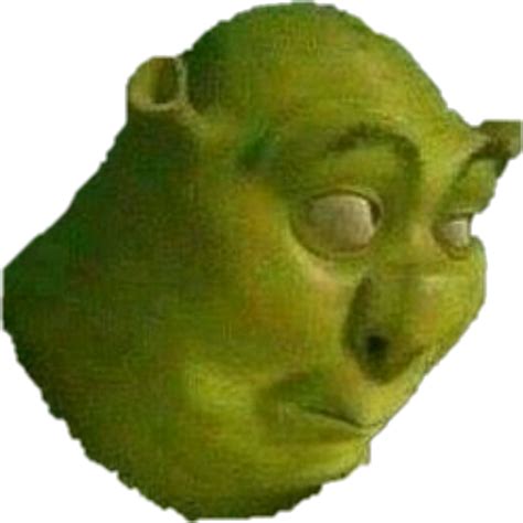 Meme Pfp Shrek Should I Change My Pfp Thewolfpack Memes It