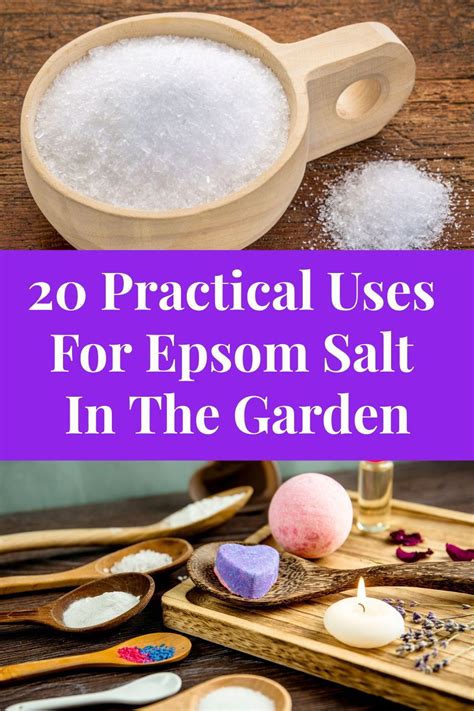 20 Practical Uses For Epsom Salt In The Garden In 2020 Epsom Salt