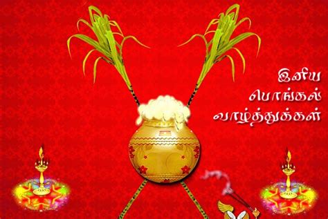Happy pongal 2019 wishes : Happy Pongal wishes in Tamil language | Advance Pongal ...