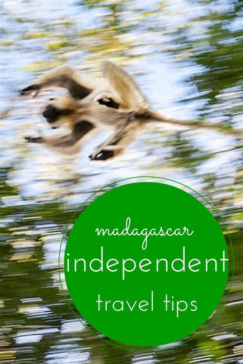 Complete Guide To Madagascar All You Need To Know Artofit