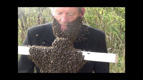 Bee Beard Youtube