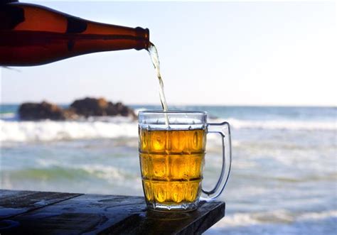 check out these popular lager beer brands to choose only the best tastessence