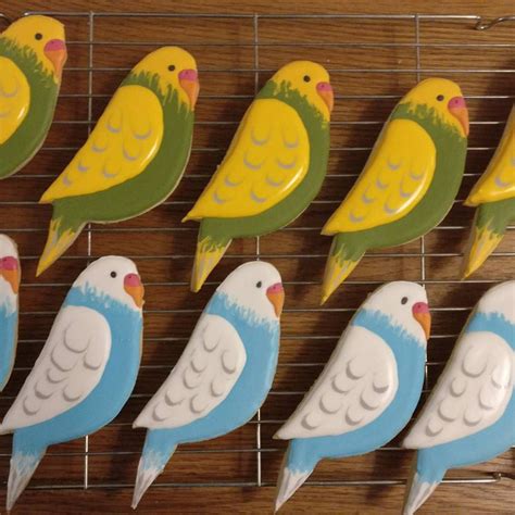 Decided To Learn Royal Icing Budgie Cookies Baking Cooking Food