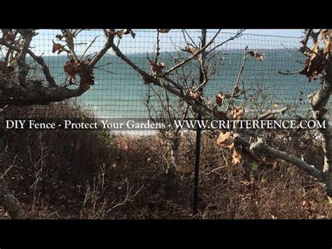 Maybe you would like to learn more about one of these? Garden fencing, deer fences, critter fence kits and do it yourself enclosures with a top. Posts ...