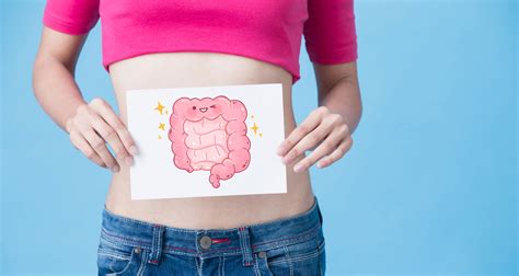 Gut Health Why A Healthy Gut Is More Important Than You Think