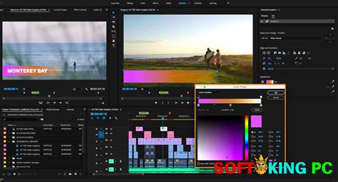It has numerous features that can enhance your video projects. Adobe Premiere Pro CC 2019 Latest Version Free Download ...