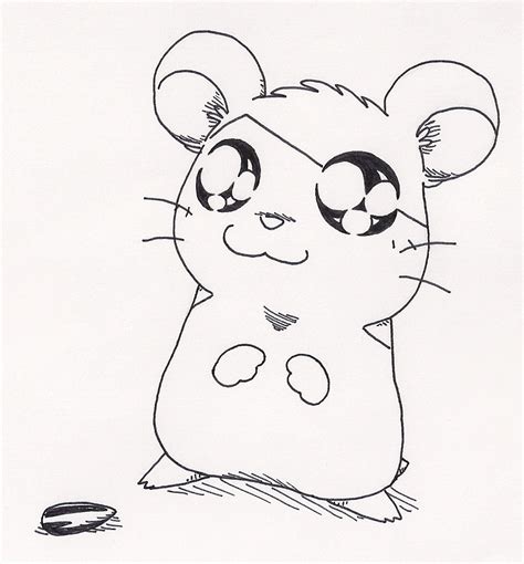 Cute Hamster Drawing At Free For