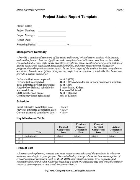 Project Status Report Template In Word And Pdf Formats