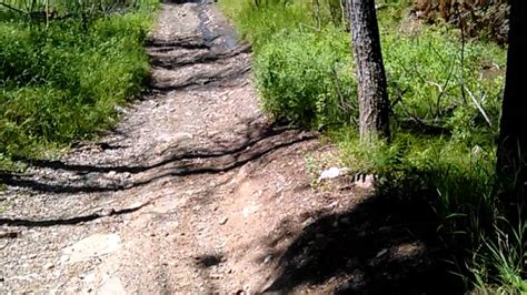 Black Hills Atv Trail Youtube