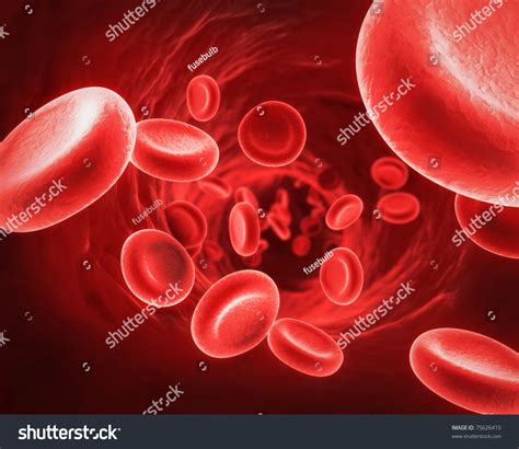 Red Blood Cells Stock Photo 75626410 Shutterstock