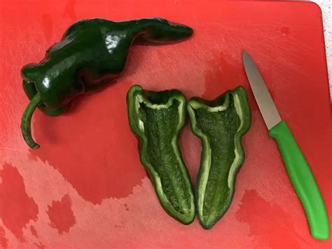 A Poblano Pepper Guide Colors Uses Origins And More The Spicy Trio