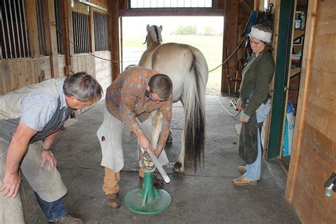 Choosing Horse Farrier As A Career Can Be Very Rewarding And Satisfying