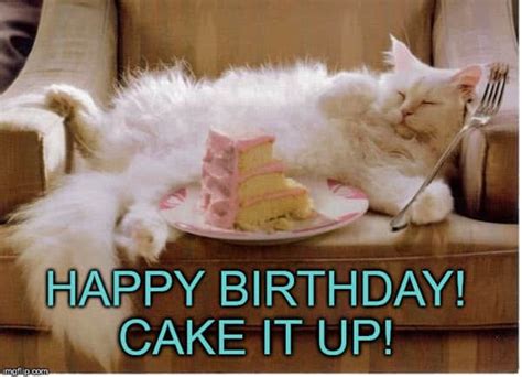35 Cat Birthday Memes That Are Way Too Adorable