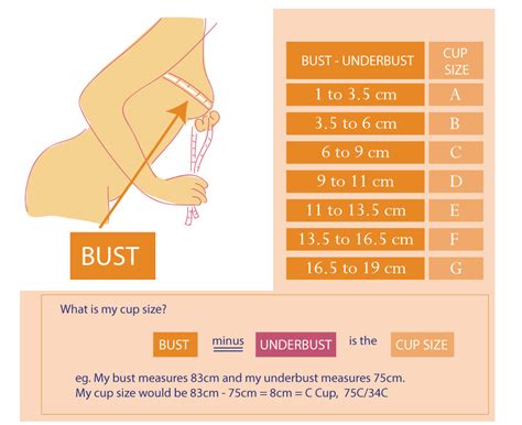 how to measure bra size artofit