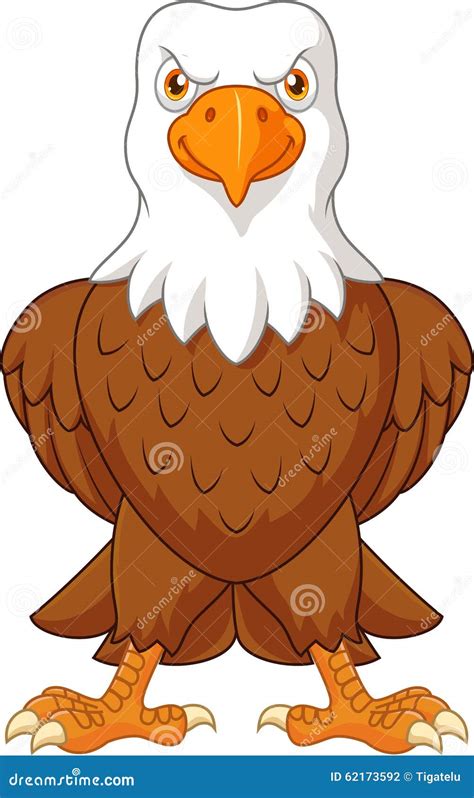Cartoon Bald Eagle Posing Isolated On White Background Vector