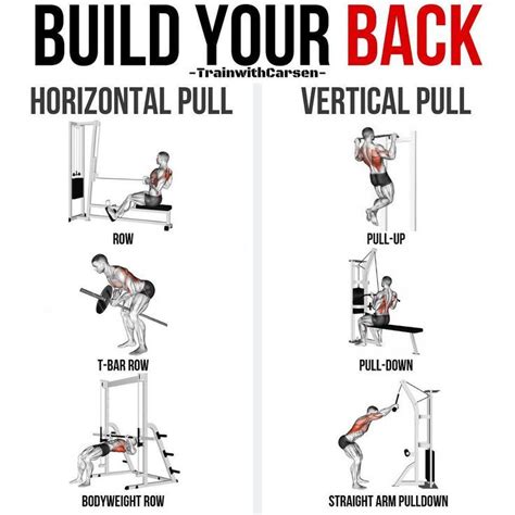 Top 10 The Best Muscle Building Back Exercises Back