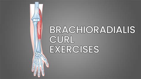5 Best Brachioradialis Curl Exercises With Pictures Inspire Us
