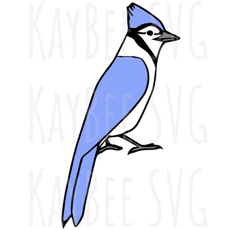 Blue Jay Bird Svg Png  Clipart Digital Cut File Download For Cricut