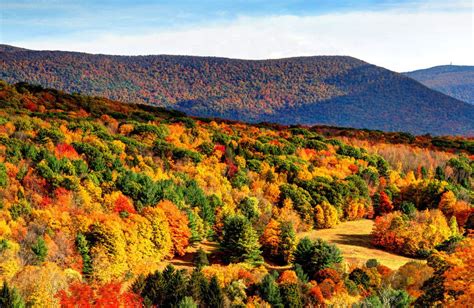 The Best Fall Foliage Road Trips In The Us 2019 With Images Fall
