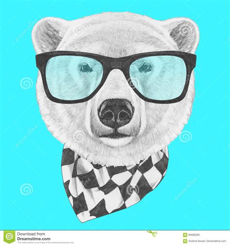 Portrait Of Polar Bear With Glasses And Scarf Stock