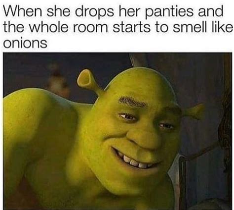 Shrek Meme Idlememe