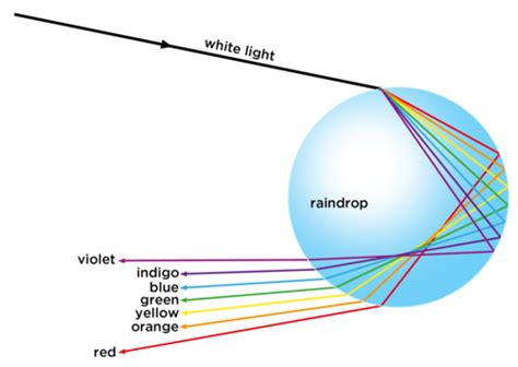 The Physics Behind Rainbow Formation