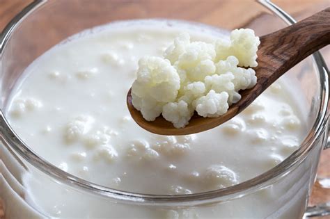 What Is Kefir Health Benefits History And Everything You Need To Know