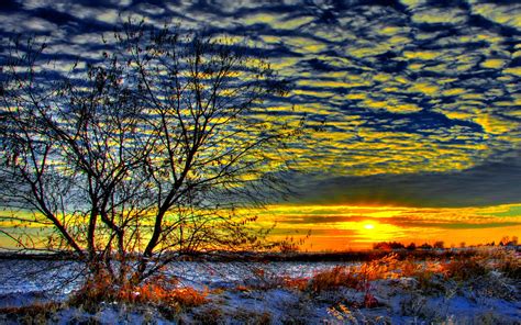 Winter Sunrise In An Open Field