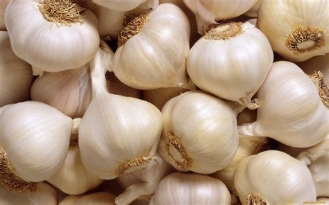 Garlic Wallpapers Top Free Garlic Backgrounds Wallpaperaccess
