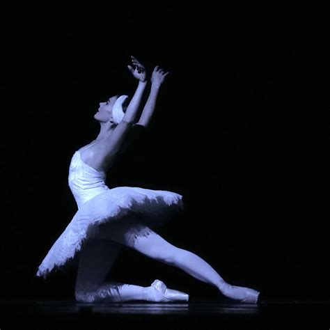 Royal Ballet Live Elite Syncopations Dying Swan Manon Swan Lake Woolf Works Le Corsaire