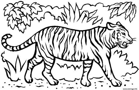 Coloriage Magnifique Tigre Avec Dents Dans La Savane Dessin Tigre