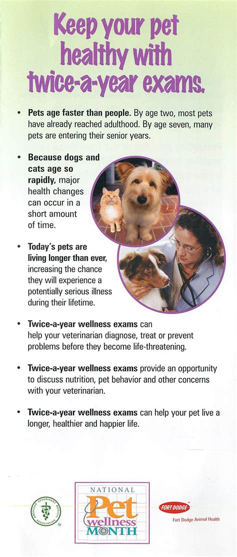 Keep Your Pet Healthy With Twice A Year Exams This Is Especially