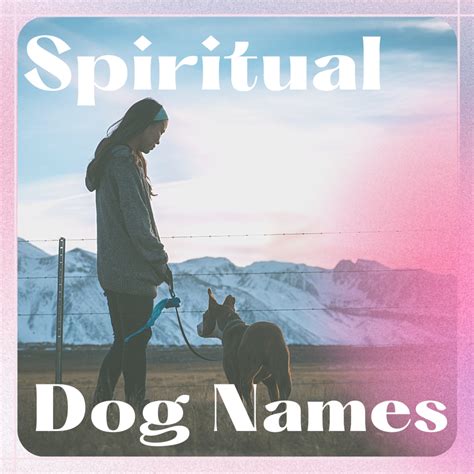 140 Meaningful Mystical And Spiritual Names For Dogs Pethelpful