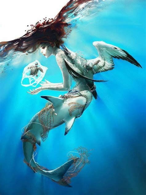 Shark Mermaid Sea Gull Turtle Mermaid Art Fantasy Artist